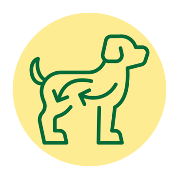 Auðmeltanlegt