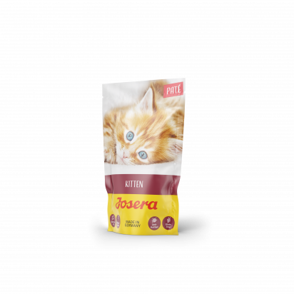 PATÉ KITTEN