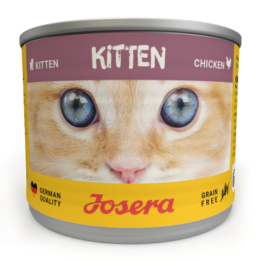 KITTEN WET