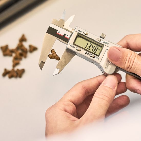 Schieblehre_555x555px