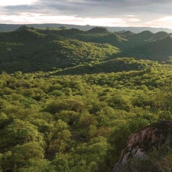 Ntakata-Mountains_555x555px